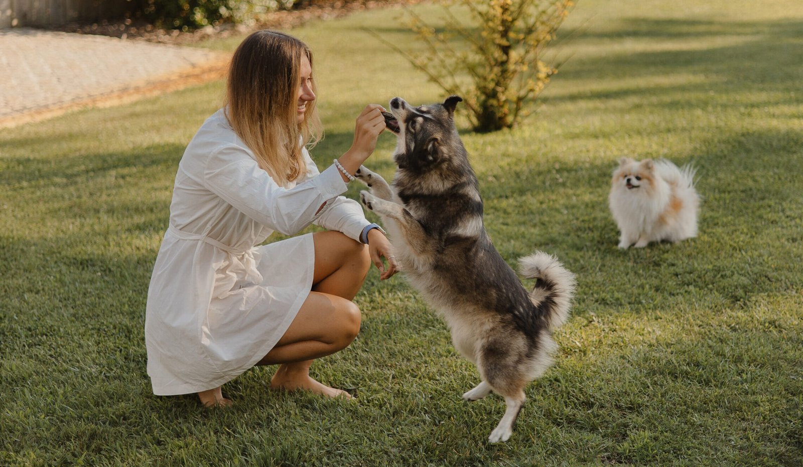Lou-Éva Salignon, éducatrice canine, avec un chien en séance d'éducation à Andernos-les-Bains